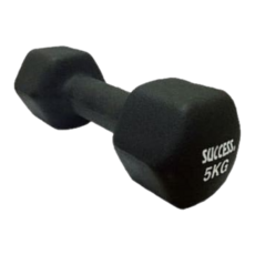 成功 S5210 防滑啞鈴 5KG, 1個