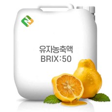 유자농축액 50Brix 200g 샘플, 1개