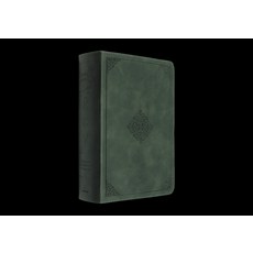 (영문도서)ESV Study Bible Personal Size (Trutone Quiet Forest Ornament Design) Imitation Leather, Crossway, English, 9798874900281