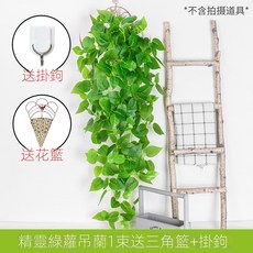 仿真綠蘿客廳掛墻綠植 壁掛植物裝飾 垂吊假花藤 條室內藤蔓吊蘭吊籃, 精靈綠蘿吊蘭1束(送三角籃), 1個