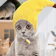 은방울나무 펫 바나나 모자 애견소품