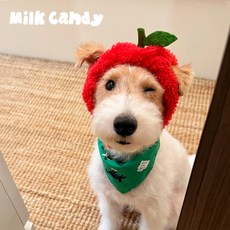 강아지용 빨간 사과 귀달이 니트모자 겨울 보온 귀마개 디자인 반려동물 패션 액세서리, 1개, 햄버거 모자 (옐로우 망토 제외)