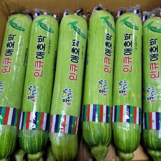 야채맘 인큐애호박 특 3개