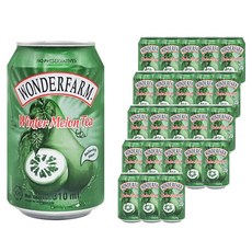 원더팜 윈터메론티 310ml, 24개
