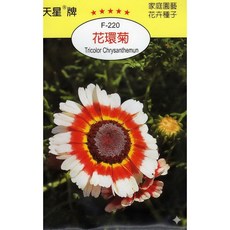 天星牌 花環菊 Tricolor Chrysanthemun 種子 F-220, 1包