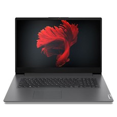 레노버 2024 V17 G4 IRU 코어i5 인텔 13세대, Iron Grey, 1TB, 16GB, WIN11 Pro, 83A2003UKR