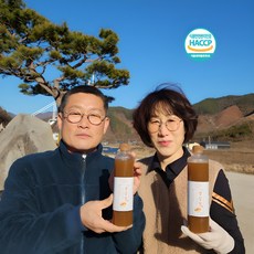 지리산 산골장터 생강청 생강진액차 생강진액, 1개, 600g