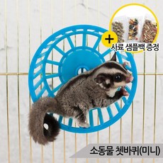 소동물 쳇바퀴 미니 다람쥐바퀴 햄스터 슈가글라이더, 단품없음