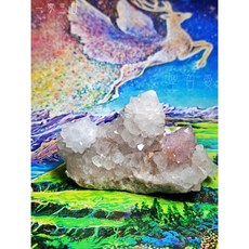 一家三口 精靈水晶Spirit Quartz /仙人掌水晶Cactus Quartz 星塵水晶, 1個