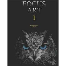 (英文圖書)Focus Art 1: Styledimage Vfx 平裝版, 英文