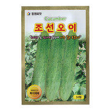 동원 조선 오이 씨앗 50립, 1개