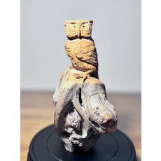 太行崖柏 獨根貓頭鷹, 如圖所示, 1個
