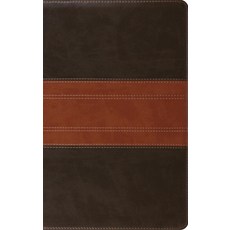(영문도서)ESV Large Print Personal Size Bible Red Letter Thumb Indexed (Trutone ... Imitation Leather