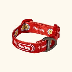 베일리펫 강아지 소형견 중형견 산책 데이지 워키 목줄, 1개, 레드