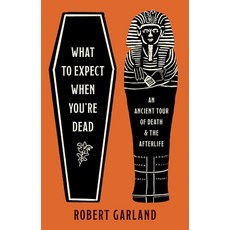 (영문도서) What to Expect When You're Dead: An Ancient Tour of Death and the Afterlife Hardcover, Princeton University Press, English, 9780691266176