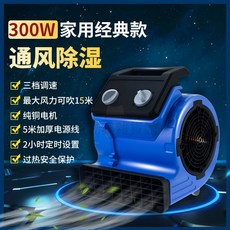 強力吹地機 商用乾地機 酒店公共衛生間除濕乾燥機 地毯快速乾燥器 通風機 家用車庫地面吹風機, 家用小型300W自然风, 家用小型300W自然风
