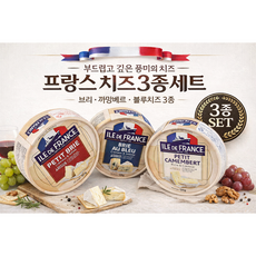 프랑스 치즈 세트 브리 까망베르 블루치즈 와인안주 수입치즈, 125g