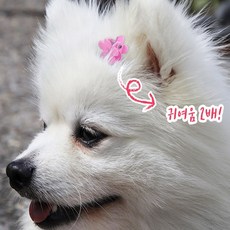 애견 강아지 털정리 미니 꽃입 머리핀 10개, 왕관