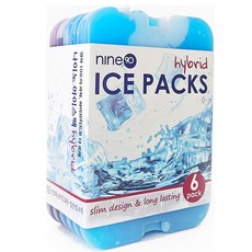 나이노 휴대용 아이스팩 6p 세트 - 캠핑 아이스박스 미니 보냉백용 소형 플라스틱 하드케이스, 1200ml, 빙점하+아이스젤