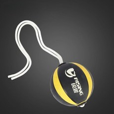 슬램볼 로프 줄달린 파워볼 메디신볼 10파운드 코어 웨이트볼 중량 피트니스 헬스, 03. 8파운드, 1개