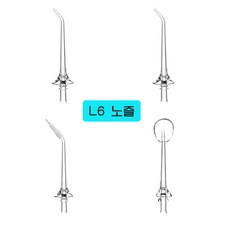 스타일닥터 L6 / L8 구강세정기에 적합한 노즐 세트, 4개