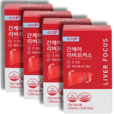 우르 지방간 간에 좋은 영양제 1위 간케어리버포커스 밀크시슬 실리마린 약국정품, 2세트, 120정