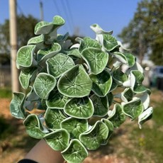 DFMEI 景德鎮手捏陶瓷花束永生花仿真diy擺攤手捧花送禮物禮品擺件裝飾, 荷葉.