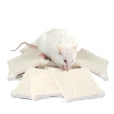 ※兔老爺※現貨快速出貨 Ancare 實驗室紙巢料片 倉鼠墊材 紙墊材 紙墊料 實驗室墊材 倉鼠 黃金鼠 楓葉鼠, 1個, 一份(9小片)