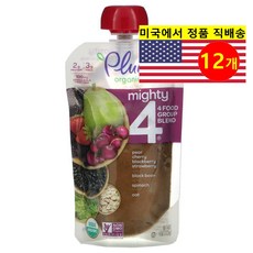 Plum Organics 12개월 이상 유아용 다양한 과일 곡물 혼합 퓨레 이유식 113g 6개, 12개