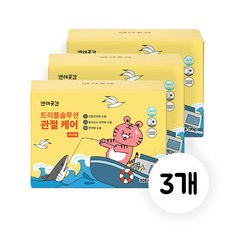 반려곳간 강아지 관절영양제 트리플솔루션, 3개, 뼈/관절강화, 30정
