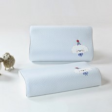 부드러운 순면 삼중직 메모리폼 베개커버 라텍스 베개커버 메쉬 굴곡형 2종 세트