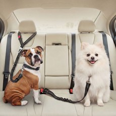 아임펫벳 차량용 강아지 안전벨트 애견 고탄력 충격방지 고정벨트, 1개, 색상