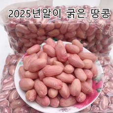 25년산 햇땅콩 생땅콩산지직송 프리미엄 피땅콩 생땅콩, 1개, 1kg