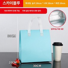 손잡이 보냉팩 다용도 디저트 포장팩 파우치형 단열 호일, 50개, 1L, 스카이블루 특대형