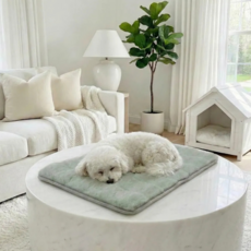 달그라미 버블 극세사 반려동물 방석, 1개, 소프트 웜 그레이