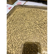 非基因改造黃豆 豆菇 豆酵 豆粕 - 天然健康，多用途豆類製品