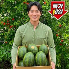 [5일초특가] 100박스한정 고당도 파파야메론 산지직송, 1박스, 2kg