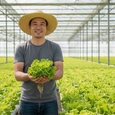 맛나락 친환경 무농약 샐러드 유럽 채소 1kg, 1개