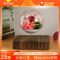 HCNT 磁懸浮永生花擺件，創意發光設計，適用於客廳臥室裝飾