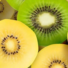 국내산 참다래 골드키위 달콤한 겨울과일, 1박스, 키위37과내외(50~59g) 2kg