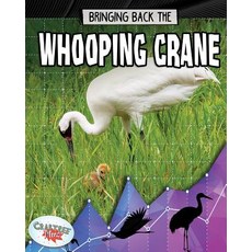 Bringing Back the Whooping Crane Hardcover, Crabtree Publishing Company