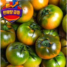 [산지직송 정품인증] 경남 부산 대저 짭짤이 토마토 특품, S-3S 2.5kg, 1박스
