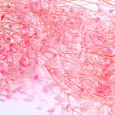 화연양화 표백 안개꽃 10색 한다발 프리저브드플라워, 03 핑크