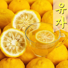 [국내산 햇 유자] 비타민 폭발 특급 제철 유자 엄마 손은 약손 유자청 유자차 생유자, 1박스, 제철 유자 5kg