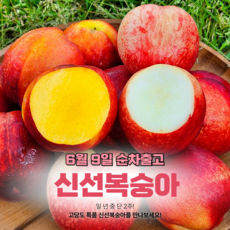 [주문폭주][예약판매] 프리미엄 고당도 경산 신선복숭아, 1개, 2kg 중과(24과 내외)