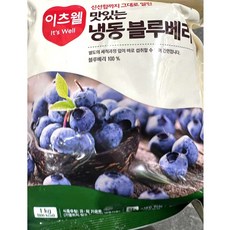 CJ 냉동 블루베리세척 칠레산 무가당 1키로