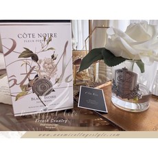 Cote Noire 香氛花擴香 永生花禮盒 法國進口居家香氛擺飾, 1個, C白透明