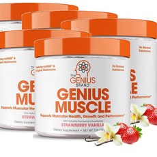 더 지니어스 머슬 빌더 매스 게이너 스트로베리 바닐라맛 The Genius Brand Muscle, 5개