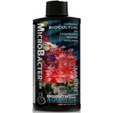 美國 BWA 海水複合硝化菌 250ml 高效穩定硝化系統 適用於各種海水魚和珊瑚, 1個