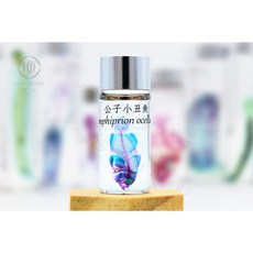 魚心標本藝術 透明生物標本 - 公子小丑魚，精緻海洋生物標本，辦公室桌面擺飾, 1個